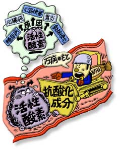 ���a�̑f�Ƃ����鈫�ʎ_�f��������鐬��������