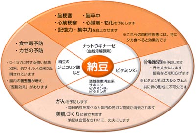 �����K���a��\�h�E���Â���[���p���[