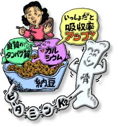 �r�^�~��K2�����e頏ǂ�h��