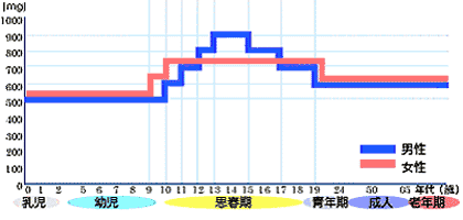 ���{�l1�l������̃J���V�E�����v��