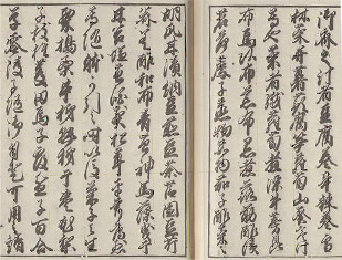 �q�ǂ�����K���Łu�[���v�|�w��P�����x